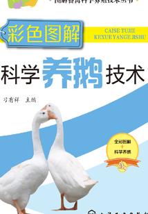 我把二婚当宝