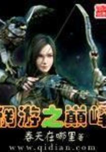 天域归途