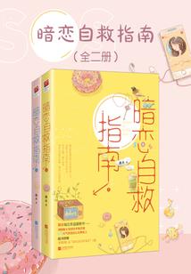 那一夏微光清