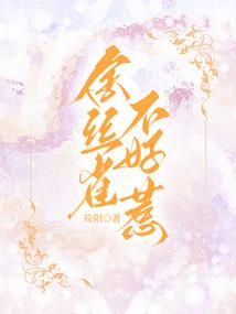 惊华御史