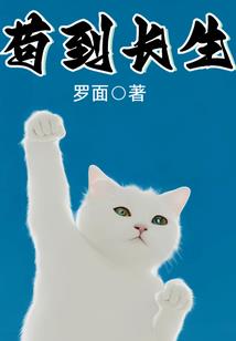 没脑子的幻想乡
