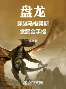 永不沉没的铁甲舰