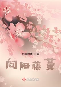 封魔乱世
