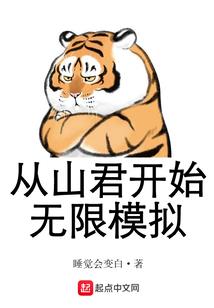 大徽夫人传之无情计