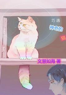 病娇Boss：老婆，你超甜！