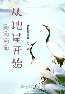 迷你盗墓者
