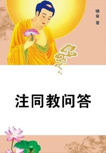 净土之谪仙