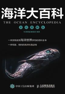 反派巨星