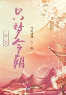 美岱召的历史风景