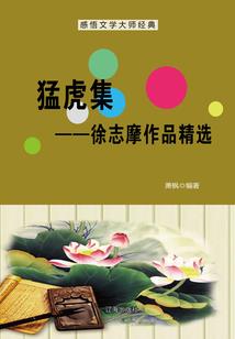 沉默的爱恋