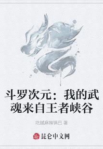 我不正经的异界冒险