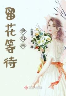 叶破传记