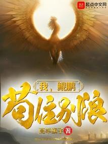 倾他国做她皇