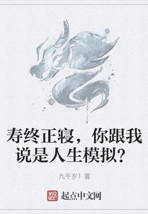 天道造了个假系统