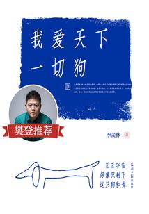 炫遍天下