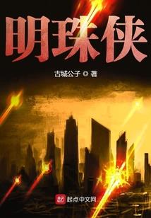 365个航班