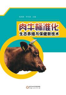 被仰望的和被遗忘的