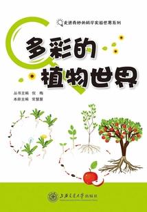 短暂的永恒