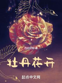 北风穿云录