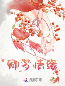 真实设定
