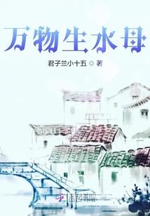 总裁的杀手小妻