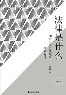 林小子传说