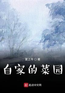 少年乂