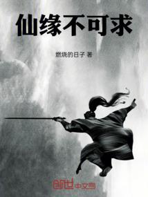 辰归录