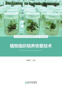 伏魔阴阳录