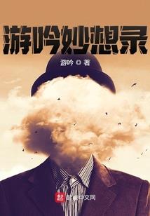 飞龙日记