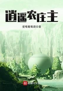 金贵丹药