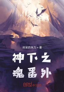 没落侦探