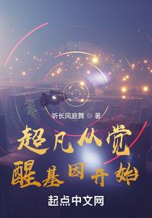 灵影传