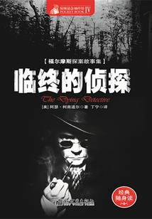 不灭武尊之灭天造化决