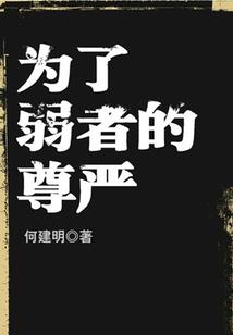 王者荣耀之破军篇