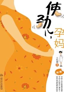 未了意