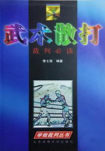网游之剑士之怒