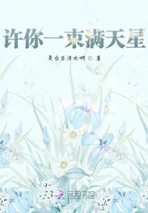 南疆风云录