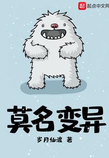 摸金诡计