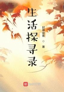 火影中的日子