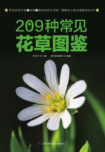 永远的七年三班