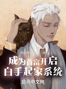 九天扶摇录