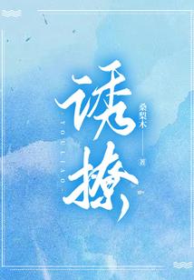 穹莽之争
