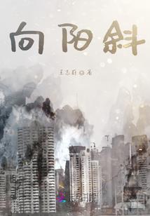 穿越大明仙仙与允文的爱恋
