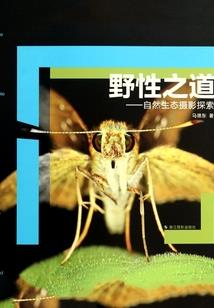 血绝大帝