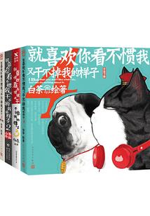 碧落轩