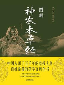 喵星人的前世记忆