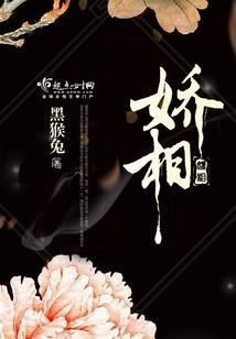 傻瓜去窃国