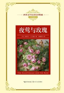 阴阳杂记