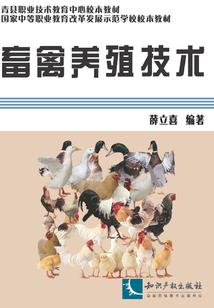 虹猫蓝兔仗剑走天涯同人